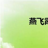 燕飞霞（关于燕飞霞的介绍）