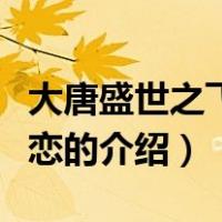 大唐盛世之飞鸟之恋（关于大唐盛世之飞鸟之恋的介绍）