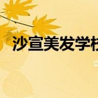 沙宣美发学校（关于沙宣美发学校的介绍）