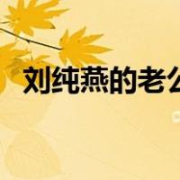 刘纯燕的老公（关于刘纯燕的老公的介绍）