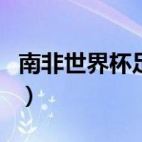 南非世界杯足球（关于南非世界杯足球的介绍）