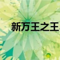 新万王之王3（关于新万王之王3的介绍）