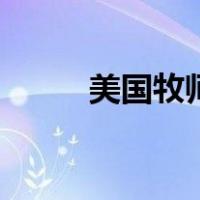 美国牧师（关于美国牧师的介绍）
