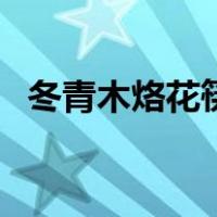 冬青木烙花筷（关于冬青木烙花筷的介绍）