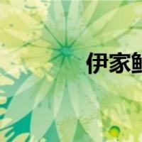 伊家鲜（关于伊家鲜的介绍）
