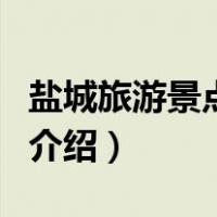 盐城旅游景点大全（关于盐城旅游景点大全的介绍）