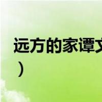 远方的家谭文颖（关于远方的家谭文颖的介绍）