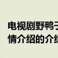 电视剧野鸭子剧情介绍（关于电视剧野鸭子剧情介绍的介绍）