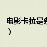 电影卡拉是条狗（关于电影卡拉是条狗的介绍）