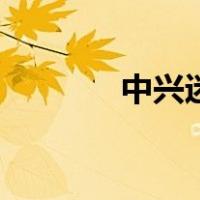 中兴迷（关于中兴迷的介绍）