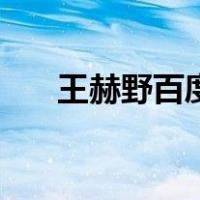 王赫野百度（关于王赫野百度的介绍）