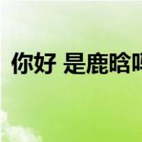 你好 是鹿晗吗（关于你好 是鹿晗吗的介绍）