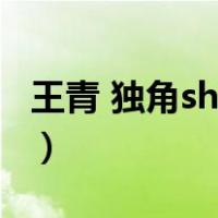 王青 独角show（关于王青 独角show的介绍）