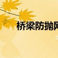 桥梁防抛网（关于桥梁防抛网的介绍）