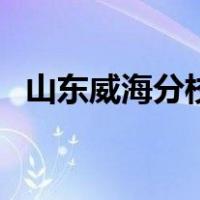 山东威海分校（关于山东威海分校的介绍）