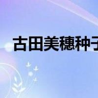 古田美穗种子（关于古田美穗种子的介绍）