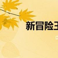 新冒险王（关于新冒险王的介绍）