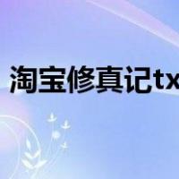 淘宝修真记txt（关于淘宝修真记txt的介绍）