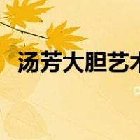 汤芳大胆艺术（关于汤芳大胆艺术的介绍）