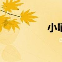 小嘀（关于小嘀的介绍）