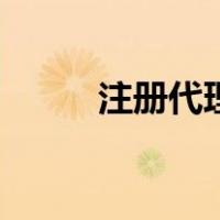 注册代理（关于注册代理的介绍）