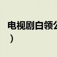 电视剧白领公寓（关于电视剧白领公寓的介绍）