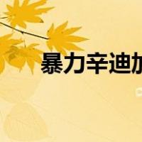 暴力辛迪加（关于暴力辛迪加的介绍）