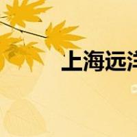 上海远洋（关于上海远洋的介绍）