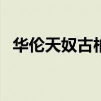 华伦天奴古柏（关于华伦天奴古柏的介绍）