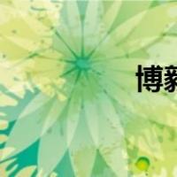 博毅（关于博毅的介绍）