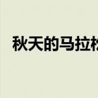 秋天的马拉松（关于秋天的马拉松的介绍）