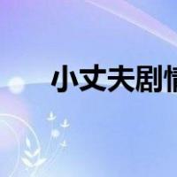 小丈夫剧情（关于小丈夫剧情的介绍）
