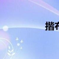 揩布（关于揩布的介绍）