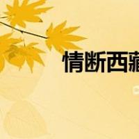 情断西藏（关于情断西藏的介绍）