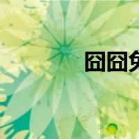 囧囧兔（关于囧囧兔的介绍）