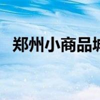 郑州小商品城（关于郑州小商品城的介绍）