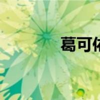 葛可佑（关于葛可佑的介绍）