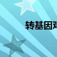 转基因鸡（关于转基因鸡的介绍）