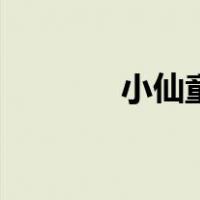 小仙童（关于小仙童的介绍）