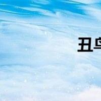 丑鸟（关于丑鸟的介绍）