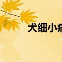 犬细小病（关于犬细小病的介绍）