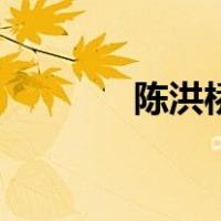 陈洪桥（关于陈洪桥的介绍）