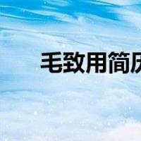 毛致用简历（关于毛致用简历的介绍）