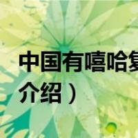 中国有嘻哈复活赛（关于中国有嘻哈复活赛的介绍）