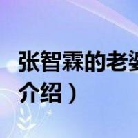 张智霖的老婆是谁（关于张智霖的老婆是谁的介绍）