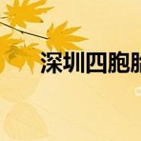 深圳四胞胎（关于深圳四胞胎的介绍）