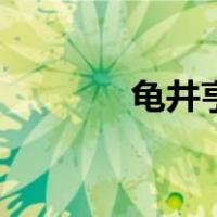 龟井亨（关于龟井亨的介绍）
