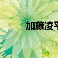 加藤凌平（关于加藤凌平的介绍）