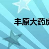 丰原大药房（关于丰原大药房的介绍）