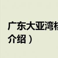 广东大亚湾核电站（关于广东大亚湾核电站的介绍）